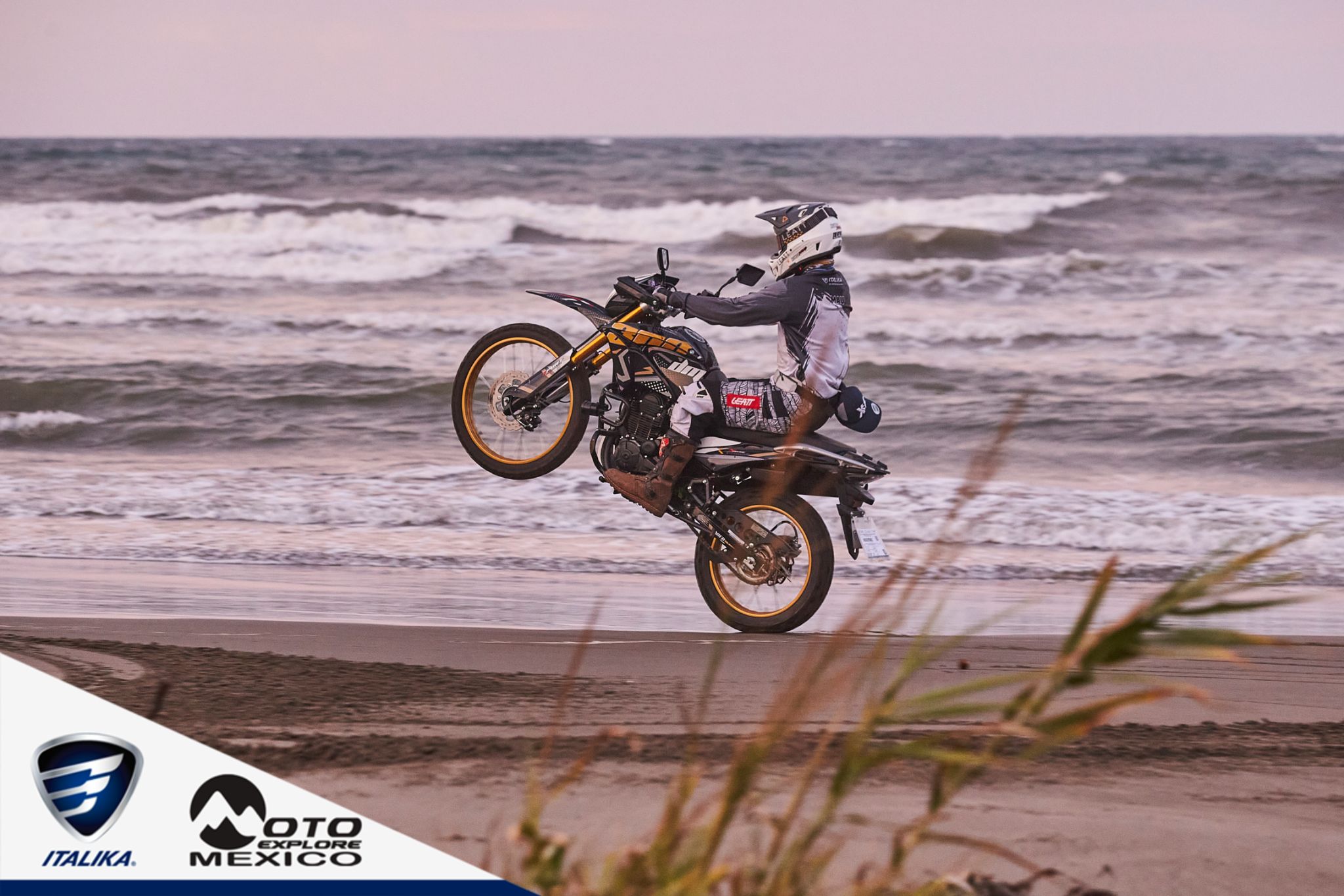 ITALIKA CHACHALACAS D1 452